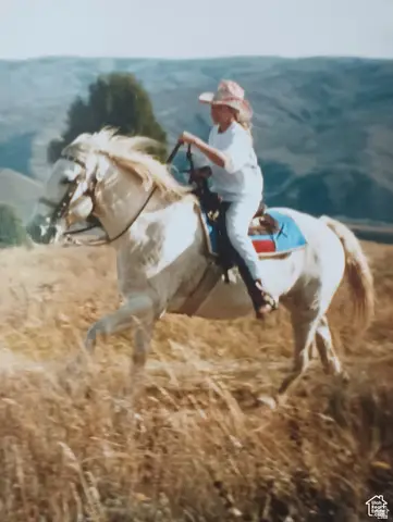 3388 N Oak Cyn #527, Huntsville, UT 84317 - #1