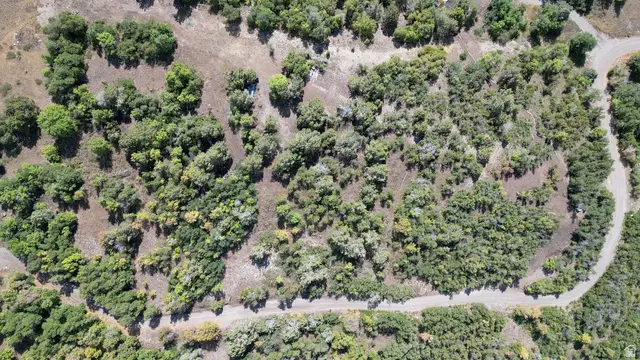 22045 N 14376 E #62, Fairview, UT 84629 - #3