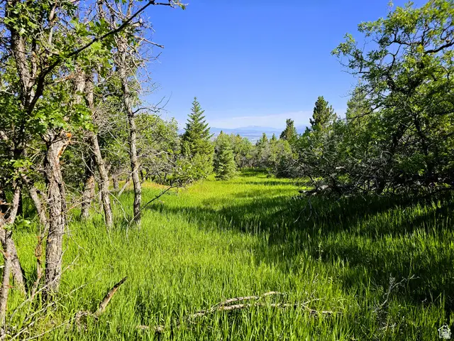 2 Whispering Pines Rd #2, Mount Pleasant, UT 84647 - #3