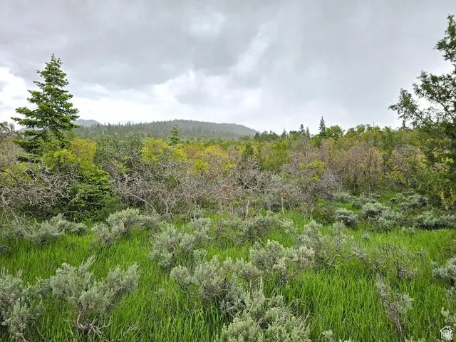 3 Whispering Pines Rd #3, Mount Pleasant, UT 84647 - #2