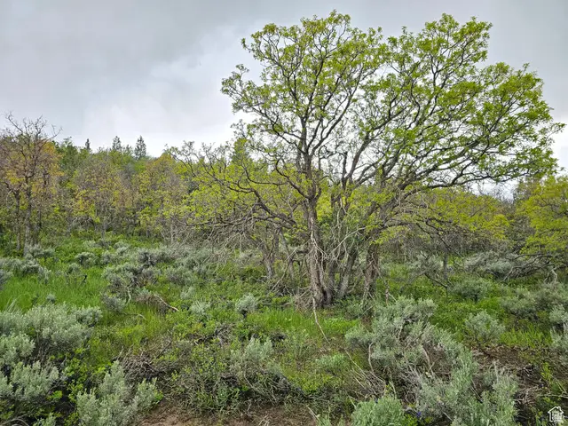 3 Whispering Pines Rd #3, Mount Pleasant, UT 84647 - #3