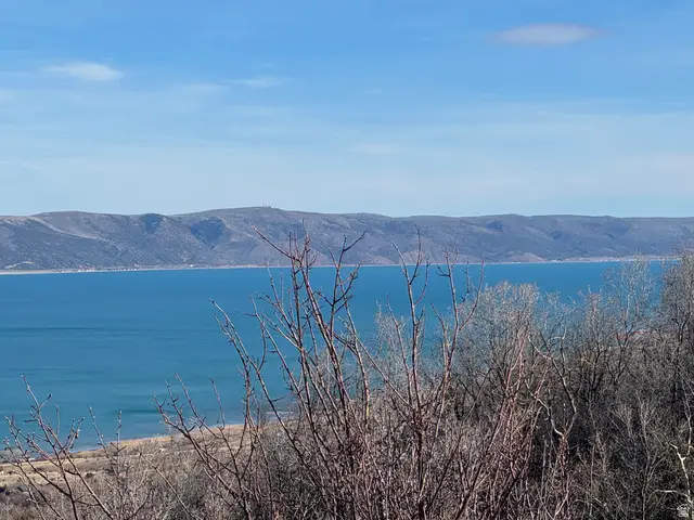 355 Calamity Dr #453, Fish Haven, ID 83287 - #3