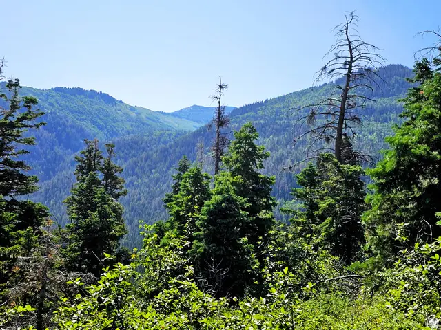 12 Pine Ridge Estates Dr #12, Mount Pleasant, UT 84647 - #3