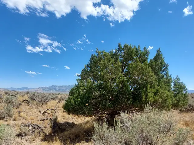 Address Withheld By Seller, Rush Valley, UT 84069 - #3