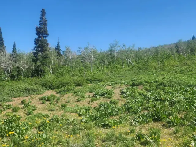 7434 N Rendezvous Rd #H250, Huntsville, UT 84317 - #1