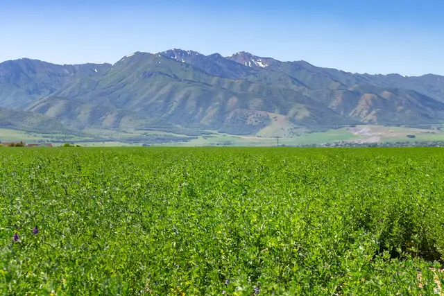 2680 W 6400 S #2, Wellsville, UT 84339 - #2