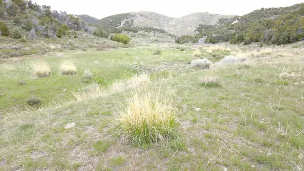 N Clear Springs Rd., Park Valley, UT 84329