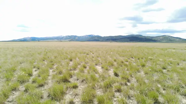 N Clear Springs Rd., Park Valley, UT 84329 - #3