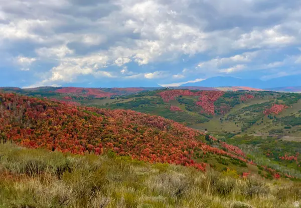 #1336, Woodland, UT 84036