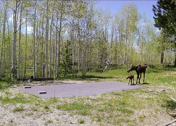 1239 Deer Ln, Kamas, UT 84036