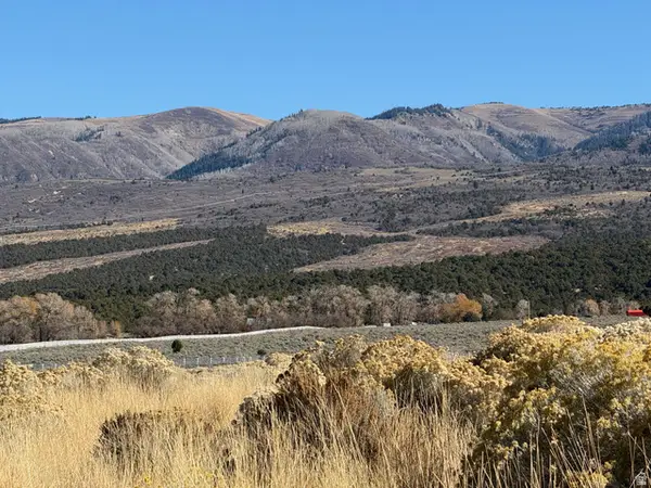 #3, Mt Pleasant, UT 84647