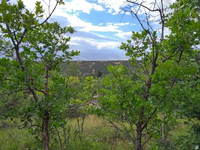 1132 E Shadow Way S #1132, Fairview, UT 84629 - #1