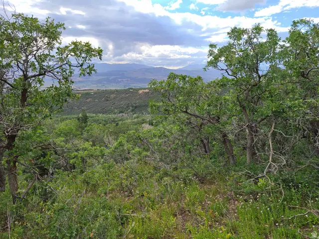 1132 E Shadow Way S #1132, Fairview, UT 84629 - #2