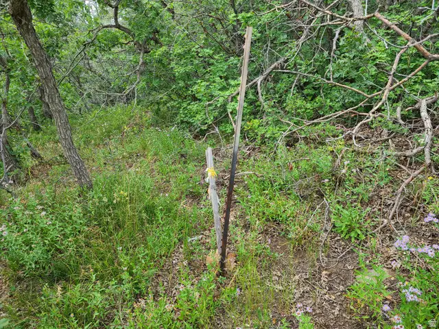 1132 E Shadow Way S #1132, Fairview, UT 84629 - #3