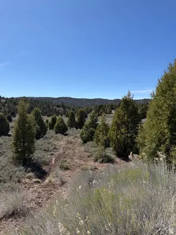 4129 N Uintah Dr #6, Alton, UT 84710 - #2