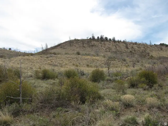 #239, Fruitland, UT 84027 - #3