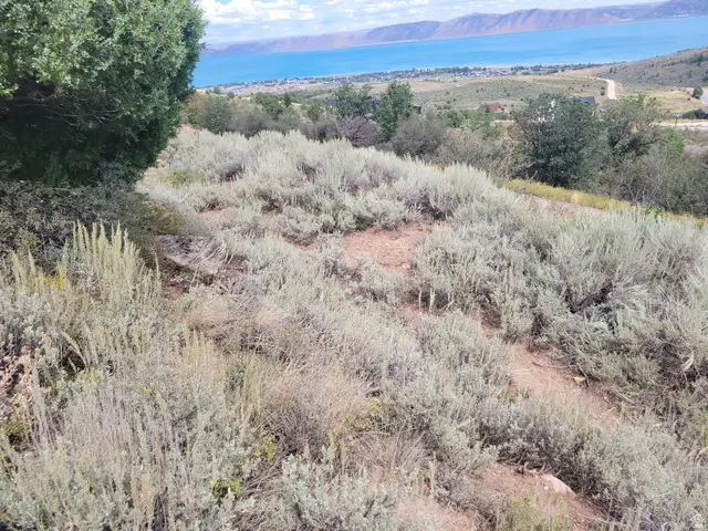 869 N Lakeview Drive Gdn S #1, Garden City, UT 84028 - #3