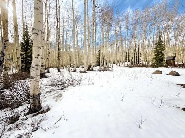 5384 N Rocky Rd, Midway, UT 84049 - #3