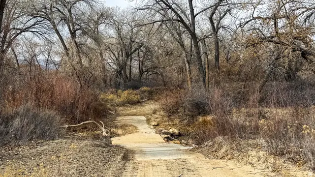 1150 N Otteson Ln, Huntington, UT 84528 - #3