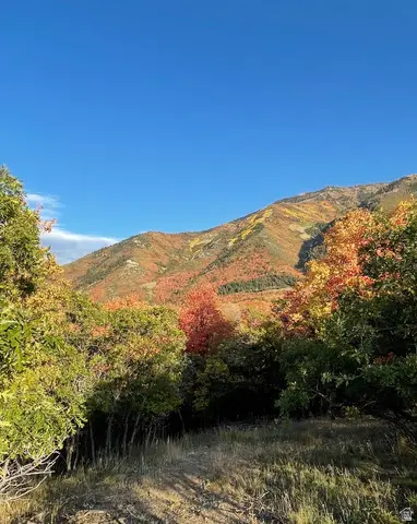 930 S Maple Ravine Cir, Woodland Hills, UT 84653 - #3