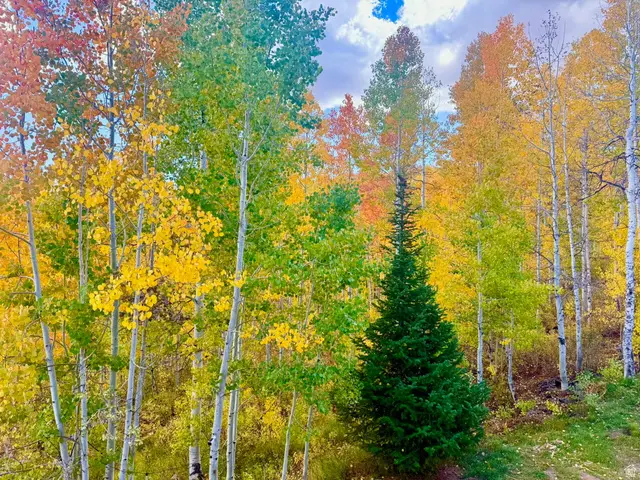 5762 Aspen Way #20, Huntsville, UT 84317 - #2