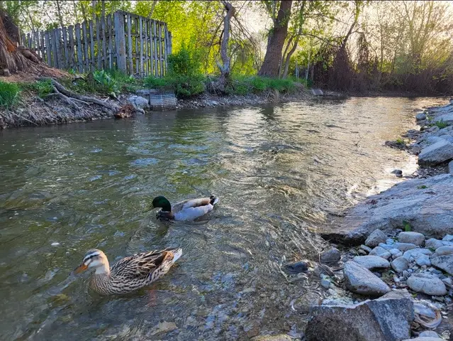 606 E Leruisseau Dr, Logan, UT 84321 - #2