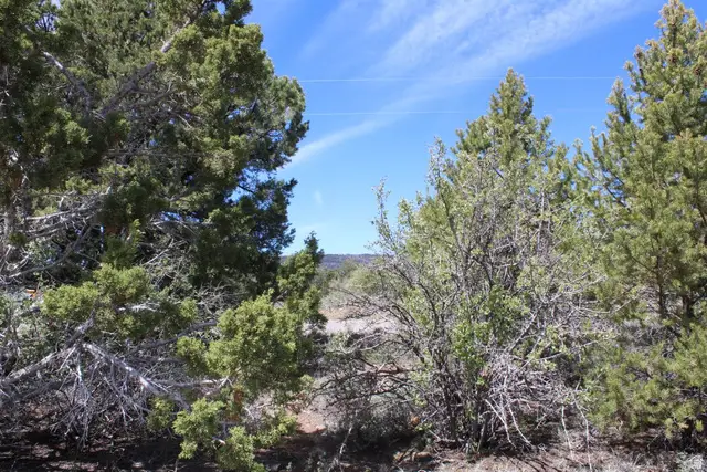 4700 N Moqui St #1, Boulder, UT 84716 - #3