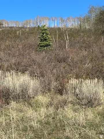 #J6, Fairview, UT 84629 - #1