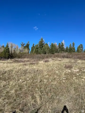 #J7, Fairview, UT 84629