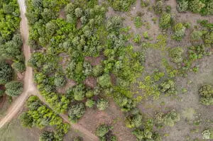 2657 E Oak Tree Dr #22, Virgin, UT 84779 - #3