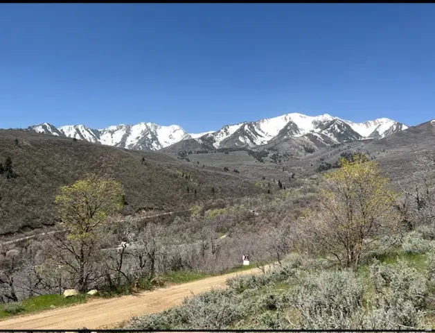 10 E Spring Mountain Dr #10, Springville, UT 84663 - #2