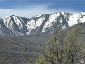 10 E Spring Mountain Dr #10, Springville, UT 84663 - #3