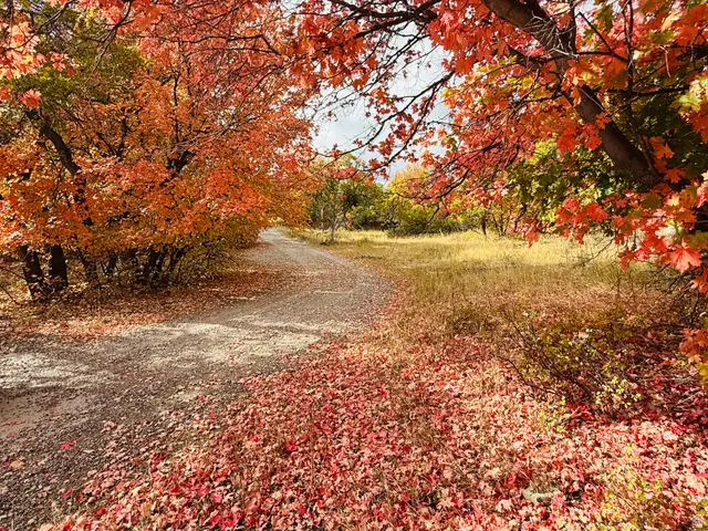 31 Juniper Dr #M31, Fairview, UT 84629 - #2