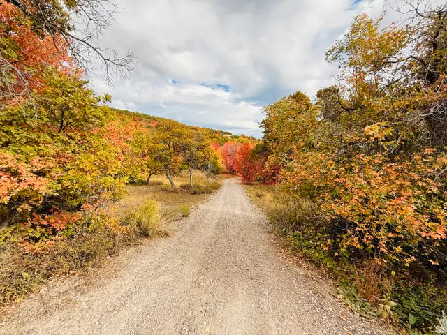 31 Juniper Dr #M31, Fairview, UT 84629 - #3