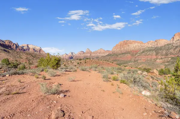 #19, Springdale, UT 84767