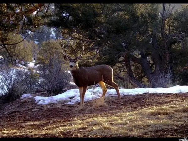 #63, Duchesne, UT 84021