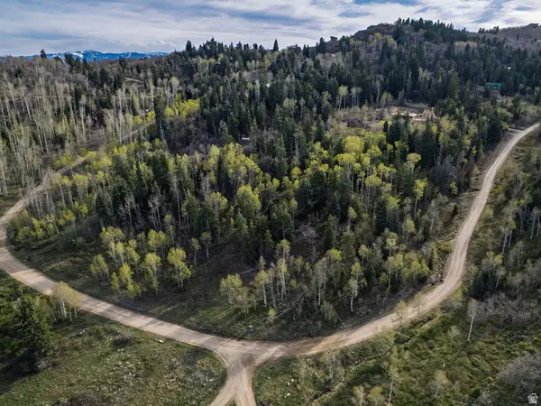 2462 S Bull Moose Dr #46, Coalville, UT 84017