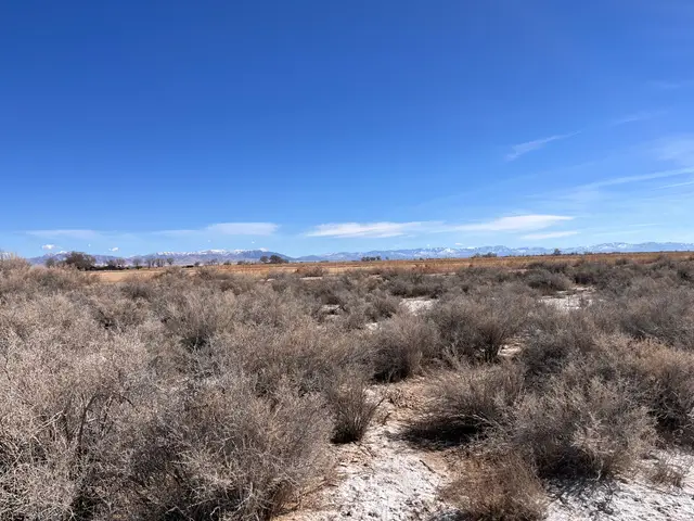 4500 N 10000 W, Delta, UT 84624 - #2