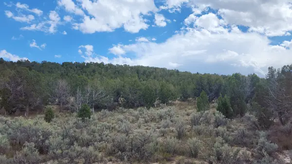 #90, Indianola, UT 84629