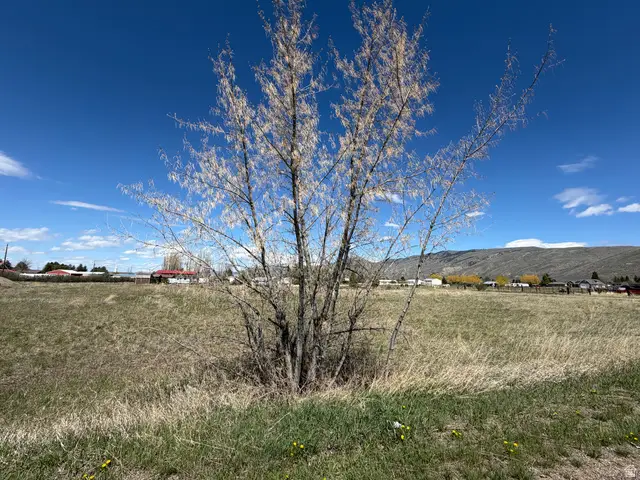 403 N 7th St #6, Montpelier, ID 83254 - #3