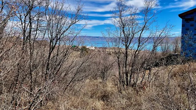 94 Red Dr #504, Fish Haven, ID 83287 - #2