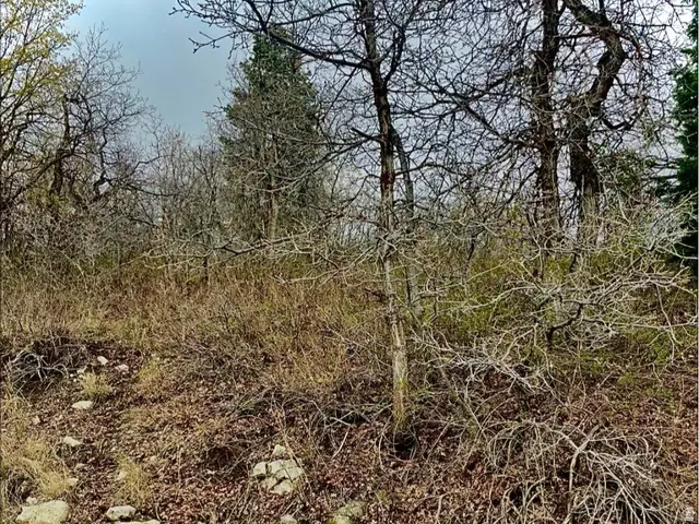 712 N Wolf Hollow W #712, Mount Pleasant, UT 84647 - #2