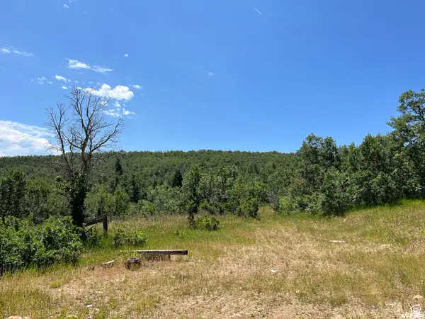 #41, Springville, UT 84663