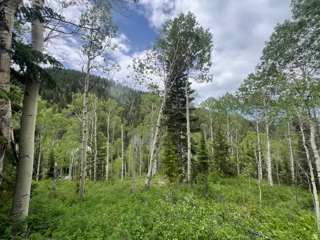 8550 N Uinta Dr #759, Oakley, UT 84055 - #2