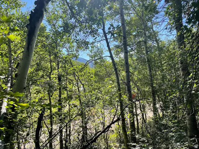 10337 N River Rd #123, Oakley, UT 84055 - #3