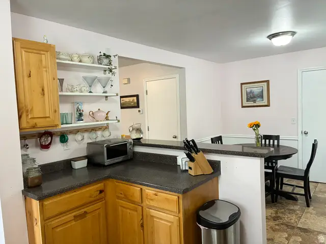 297 W Bricker Rd, Draper, UT 84020 - #3