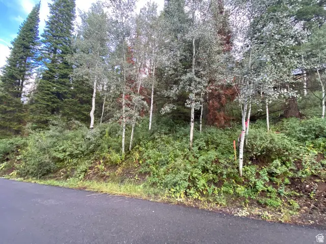 551 Red Fir Way #551, Oakley, UT 84055 - #2