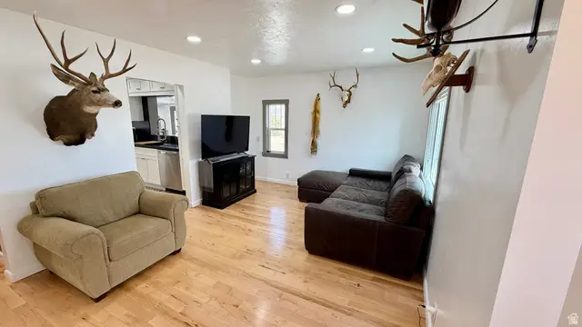 296 W 300 S, Loa, UT 84747 - #3