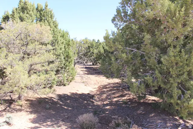 17768 Harmony Ln, Cedar City, UT 84721 - #3
