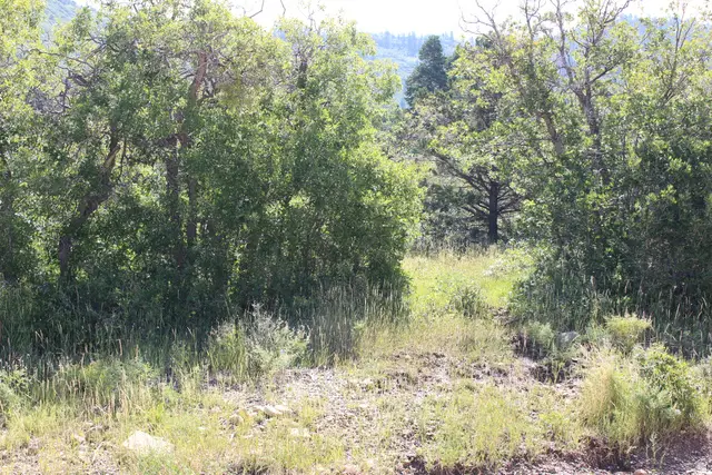 2267 S High Mountain Dr, Cedar City, UT 84720 - #3